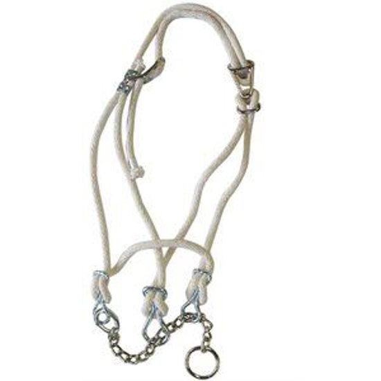 Picture of Cotton Cow Halter