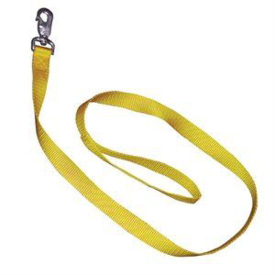 Picture of 1"x4' Dog Leash