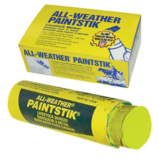 Picture of All-Weather Paintstik - Box/12 - Fluorescent Yellow